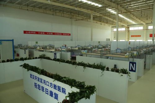 匠心筑路獻華誕，車都集團以工匠精神打造公路工程精品